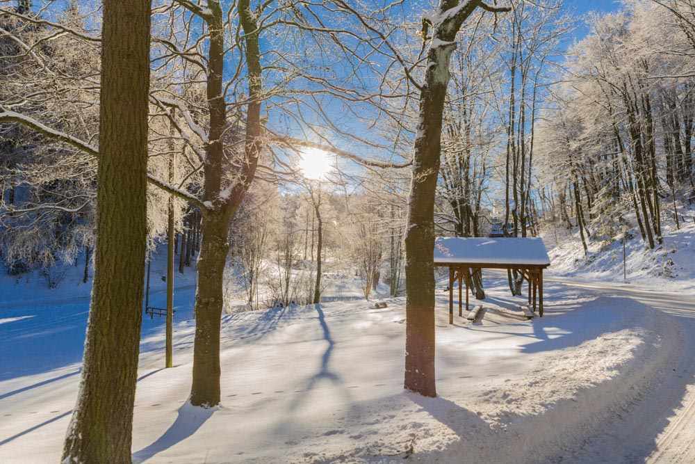 Willingen Winter
